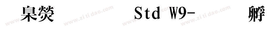 華康明體 Std W9字体转换